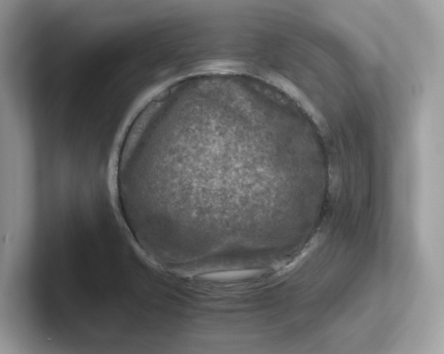 X0000101411421200807211046