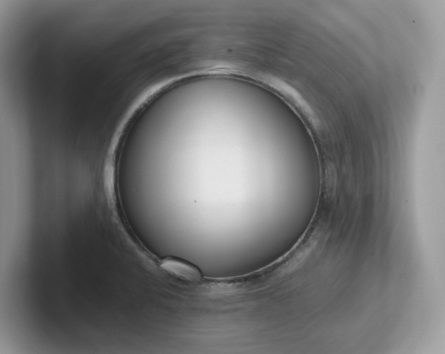 X0000101411424200807211046