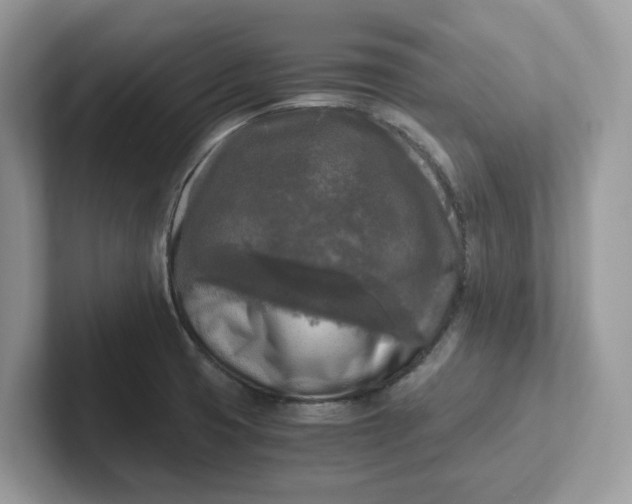 X0000101411425200807211046