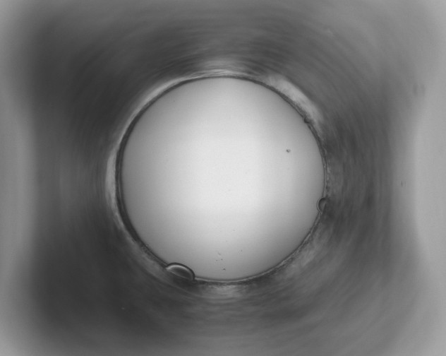 X0000101411431200807211046