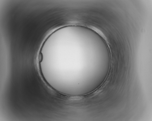 X0000101411440200807211046