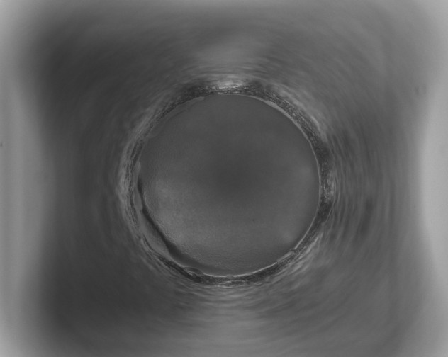 X0000101411441200807211045