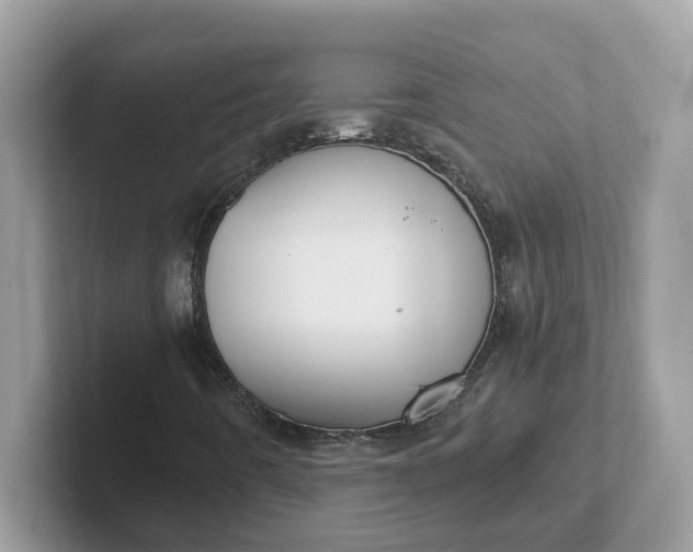 X0000101411442200807211045