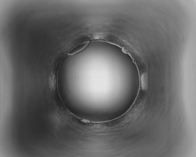 X0000101411443200807211045