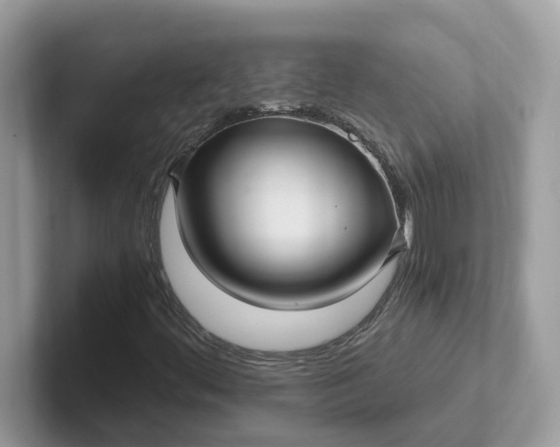 X0000101411444200807211045