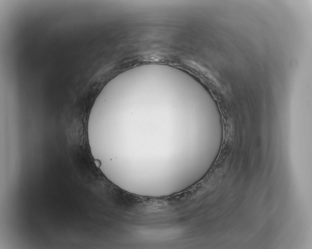 X0000101411446200807211045