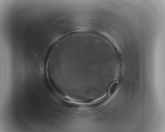 X0000101411449200807211045