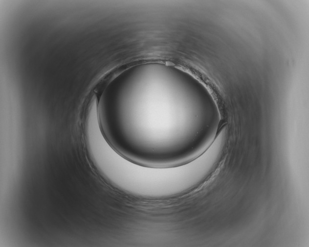X0000101411450200807211045