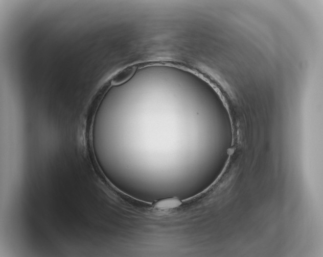 X0000101411452200807211045