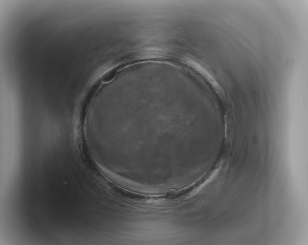 X0000101411453200807211045