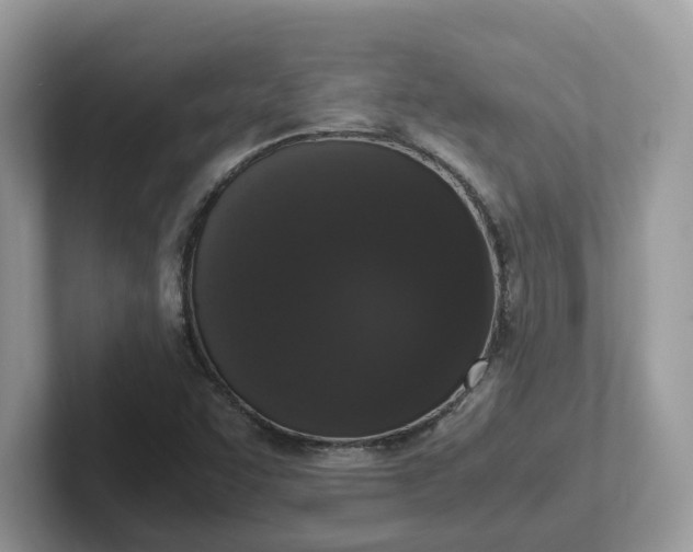 X0000101411455200807211045