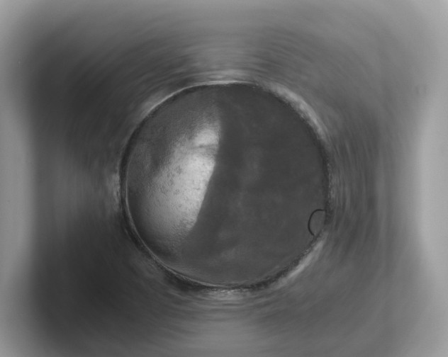 X0000101411457200807211045