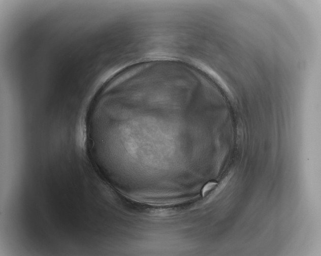X0000101411461200807211045