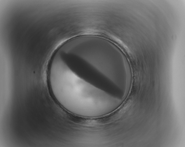X0000101411463200807211045