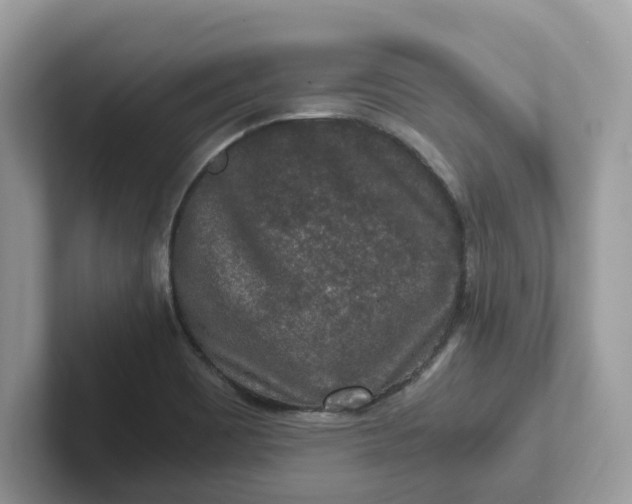 X0000101411465200807211045