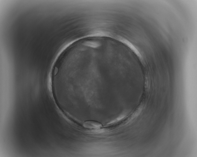 X0000101411468200807211045
