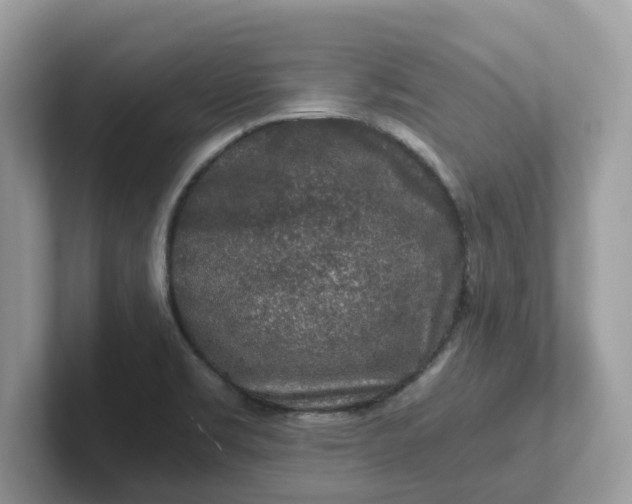 X0000101411469200807211045