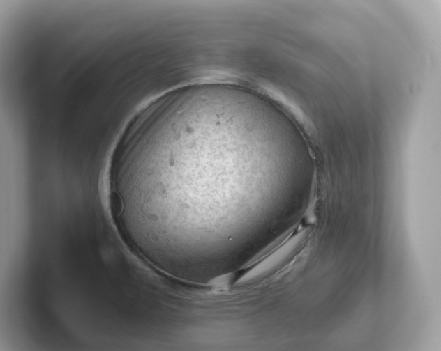 X0000101411471200807211045