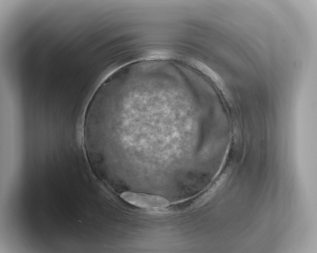 X0000101411473200807211045