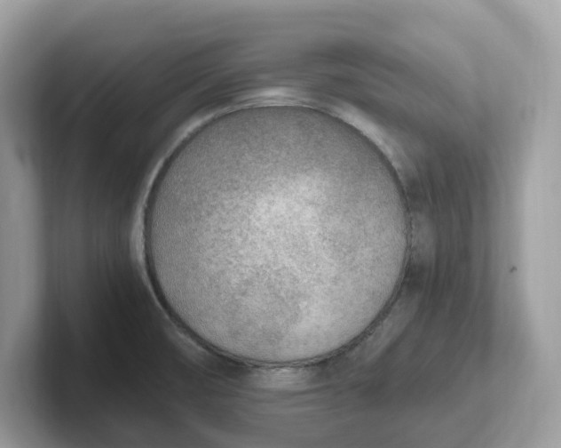 X0000101411474200807211045