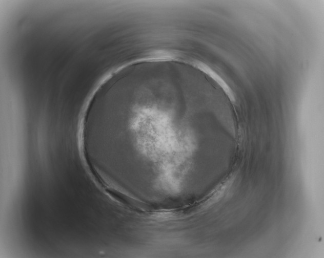 X0000101411477200807211045