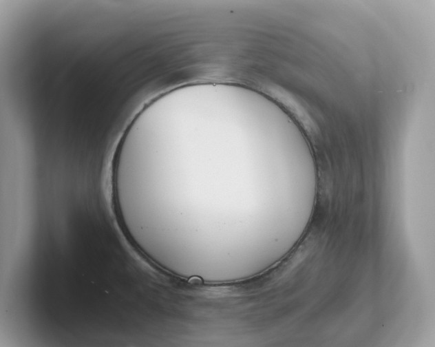 X0000101411479200807211045