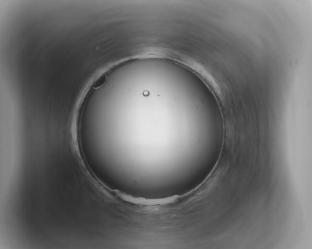 X0000101411480200807211045