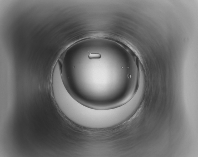 X0000101411481200807211045