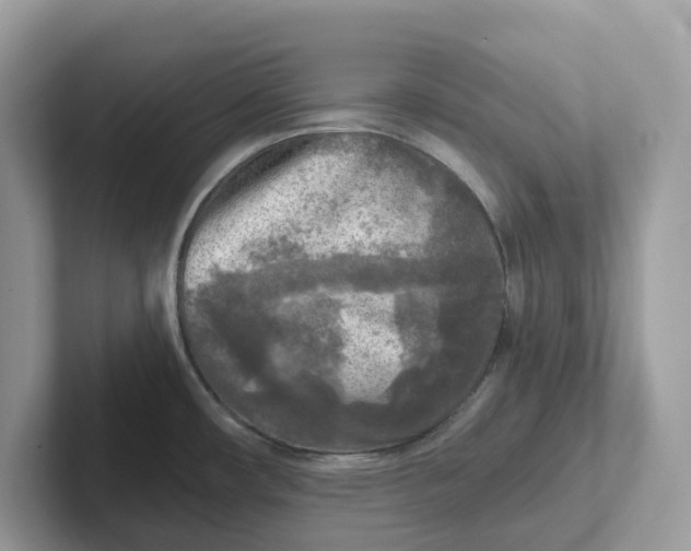 X0000101411482200807211045