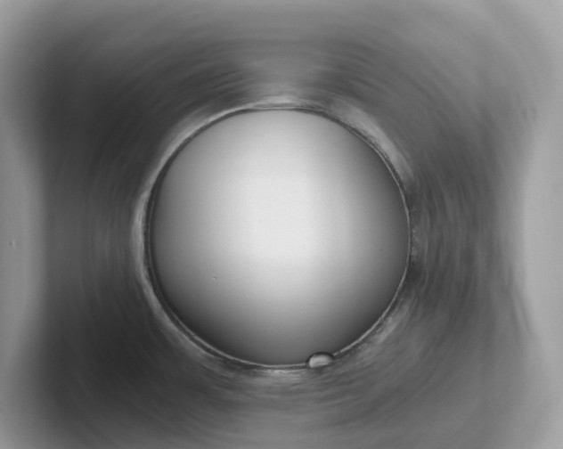X0000101411483200807211045