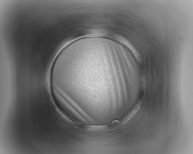 X0000101411487200807211045