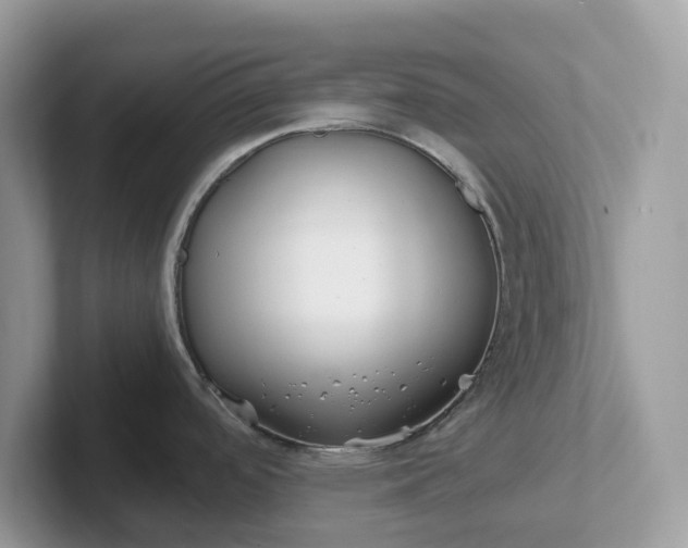 X0000101411488200807211045