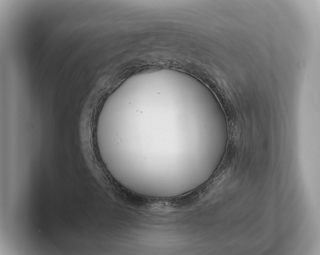 X0000101411489200807211044