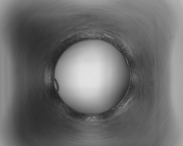 X0000101411490200807211044