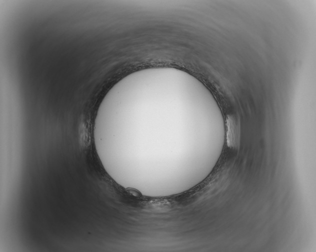X0000101411491200807211044