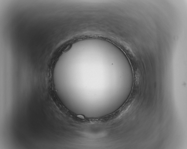 X0000101411494200807211044