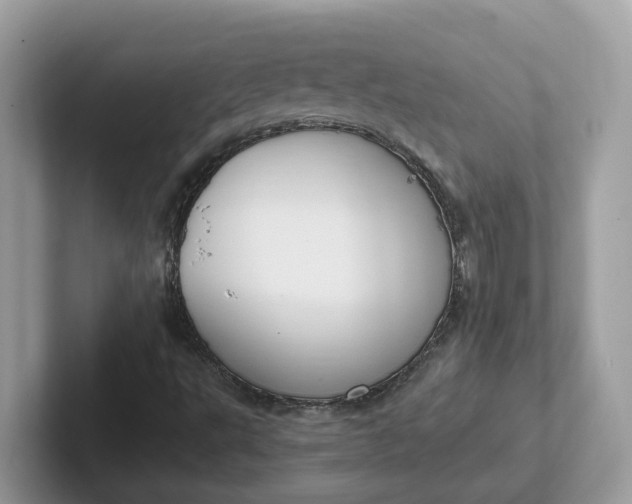 X0000101411495200807211044