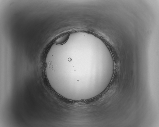 X0000101411496200807211044