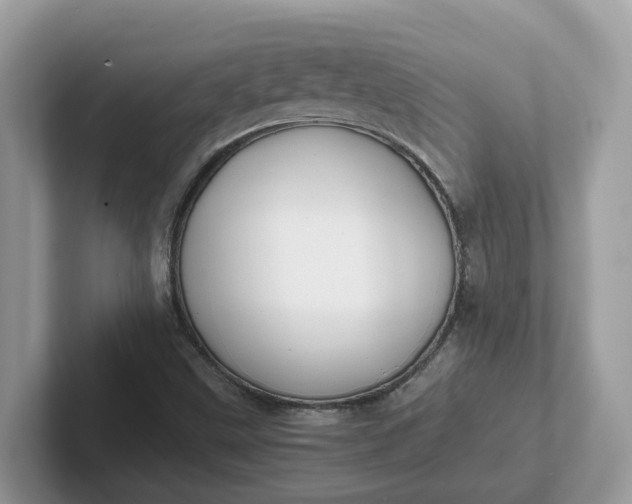X0000101411499200807211044
