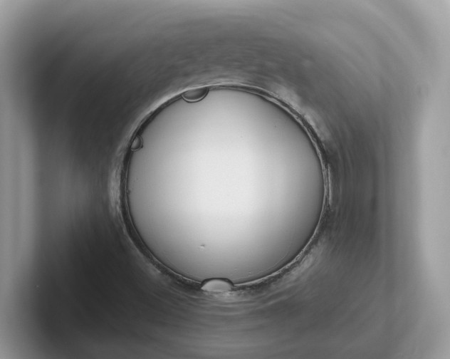 X0000101411500200807211044