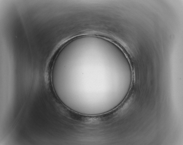 X0000101411501200807211044