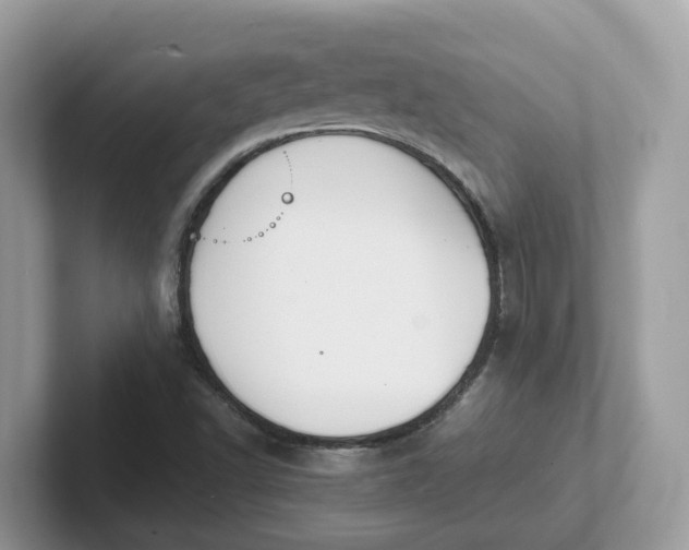 X0000101411502200807211044