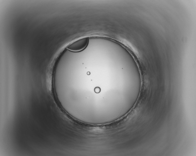 X0000101411504200807211044