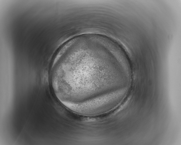 X0000101411505200807211044