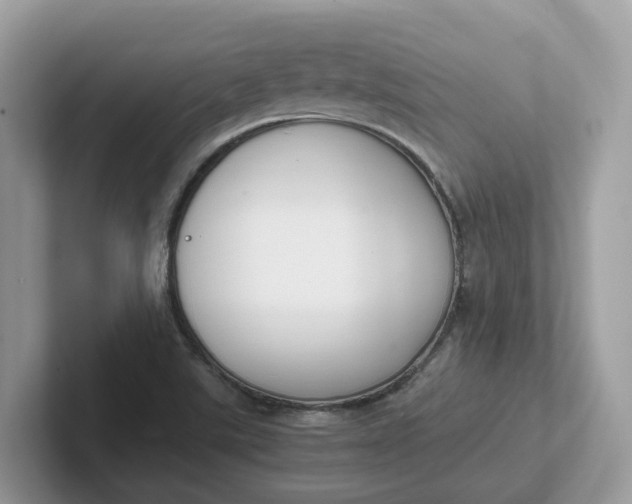 X0000101411507200807211044