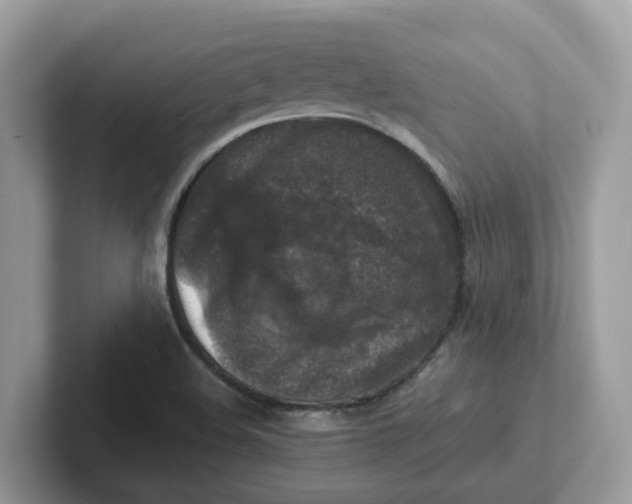 X0000101411508200807211044