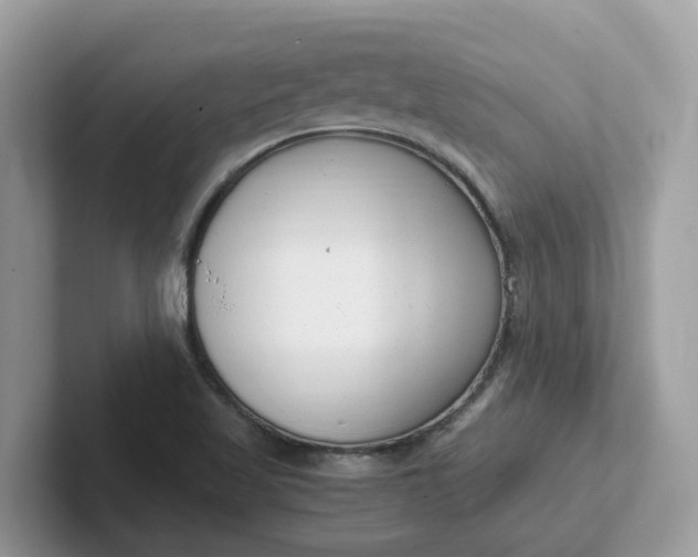 X0000101411509200807211044