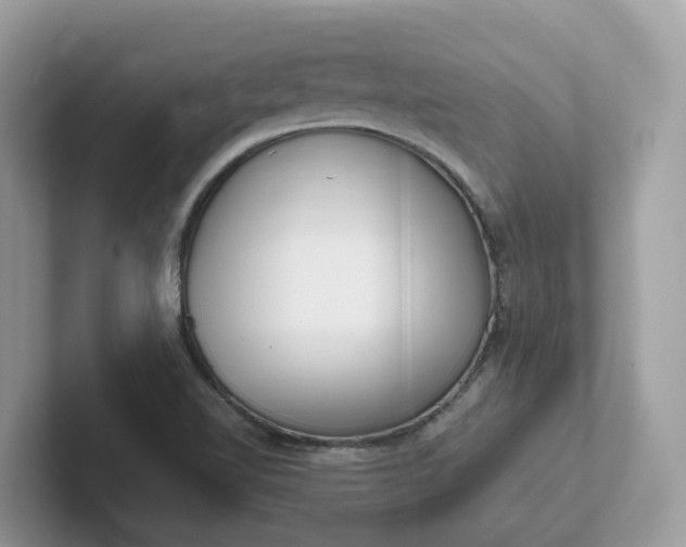 X0000101411510200807211044