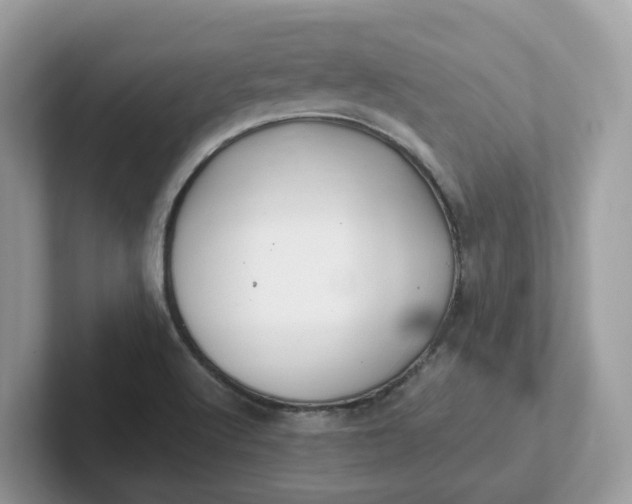 X0000101411512200807211044