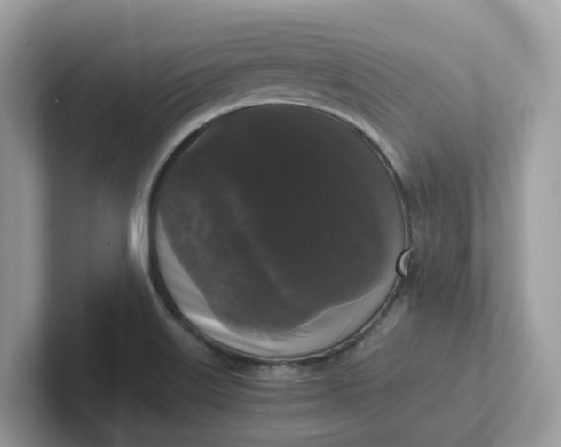 X0000101411515200807211044